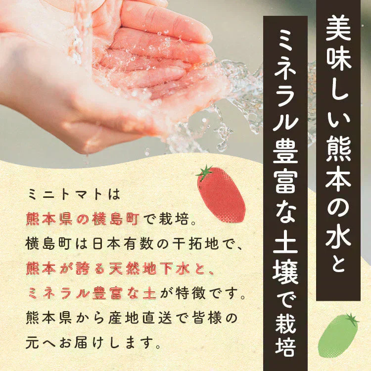 2kg 家族の笑顔が広がる完熟ミニトマト「トマランタン」東北配送不可】