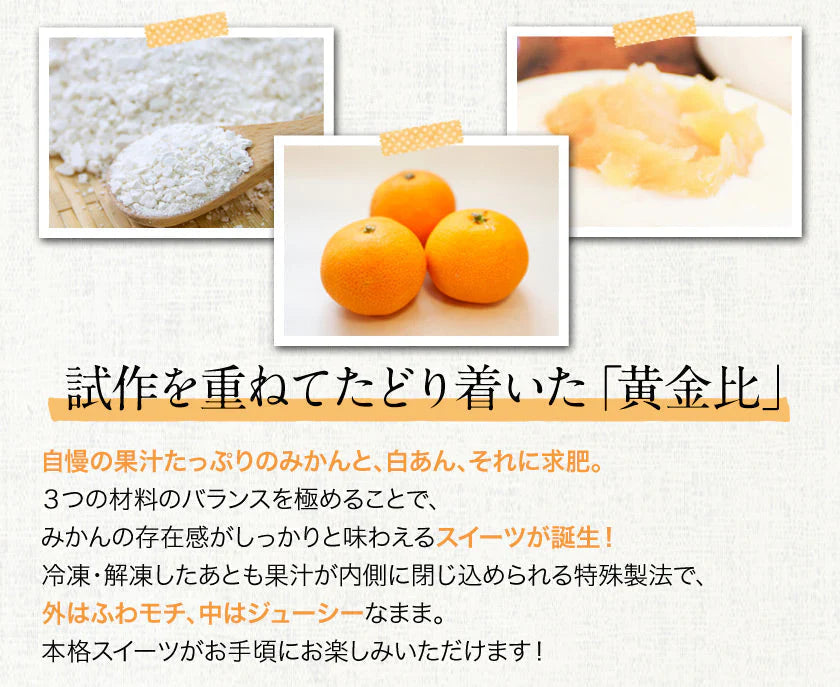 9個入り まるごと みかん 大福 和菓子 高級 ギフト お取り寄せ まるごと ミカン 大福 9個 送料無料 プレゼント 熊本県産 小玉 みかん使用 スイーツ お菓子 白あん 手土産 冷凍　《7-14日営業日以内に出荷予定(土日祝除く)》