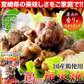 日向屋 鶏炭火焼 90g 3袋セット 日向屋オリジナル塩胡椒 にんにく ローストオニオン で味付け炭火焼 メール便