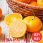 みかん　吉田みかん　２ｋｇ　ｆ吉０２　家庭用　愛媛　吉田　果物　フルーツ　柑橘　ミカン　蜜柑　　訳あり　送料無料
