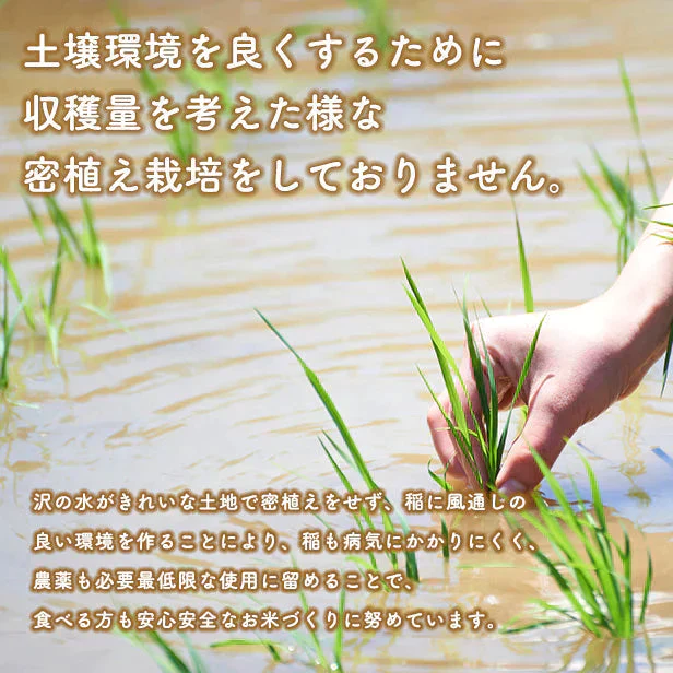 在庫処分セール！【精米10ｋｇ】令和4年産　秋田県産　あきたこまち10ｋｇ 5ｋｇ×2袋　一等米　厳選　送料無料　10ｋｇ　米びつ当番【天鷹唐辛子】プレゼント付き