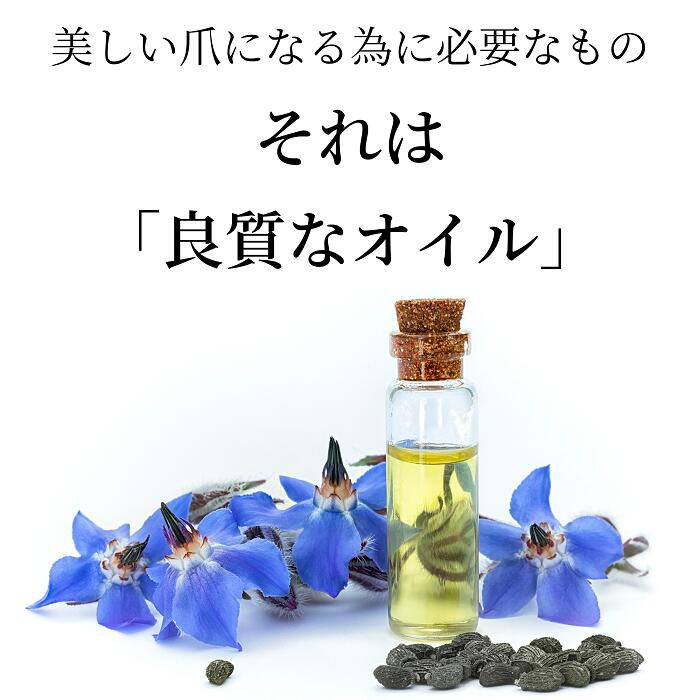 大人ネイルオリジナル ボラージシード ネイルオイル 10ml