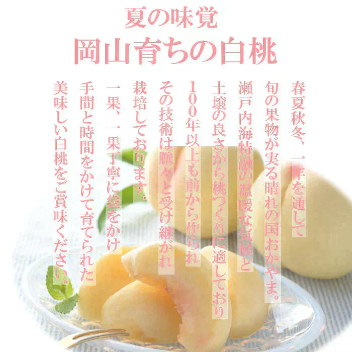 【7月上旬から8月上旬発送可能】岡山産 白桃 訳あり 1.3キロ 5－8玉入り 家庭用