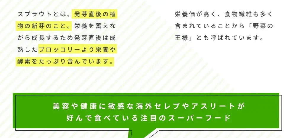 ブロッコリースプラウト《約6ヶ月分》