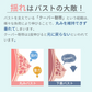 【3枚セット】【モーブピンク・チャコール・ネイビー/S-M】 ナイトブラ 《ラクブラ24 ノーマル》 育乳ブラ 大きいサイズ ブラジャー インナー ノンワイヤー お試し ルームウェア 小胸 育乳 楽ブラ 脇肉 ブラ おやすみブラ 下着 レディース かわいい  / Premina プレミーナ