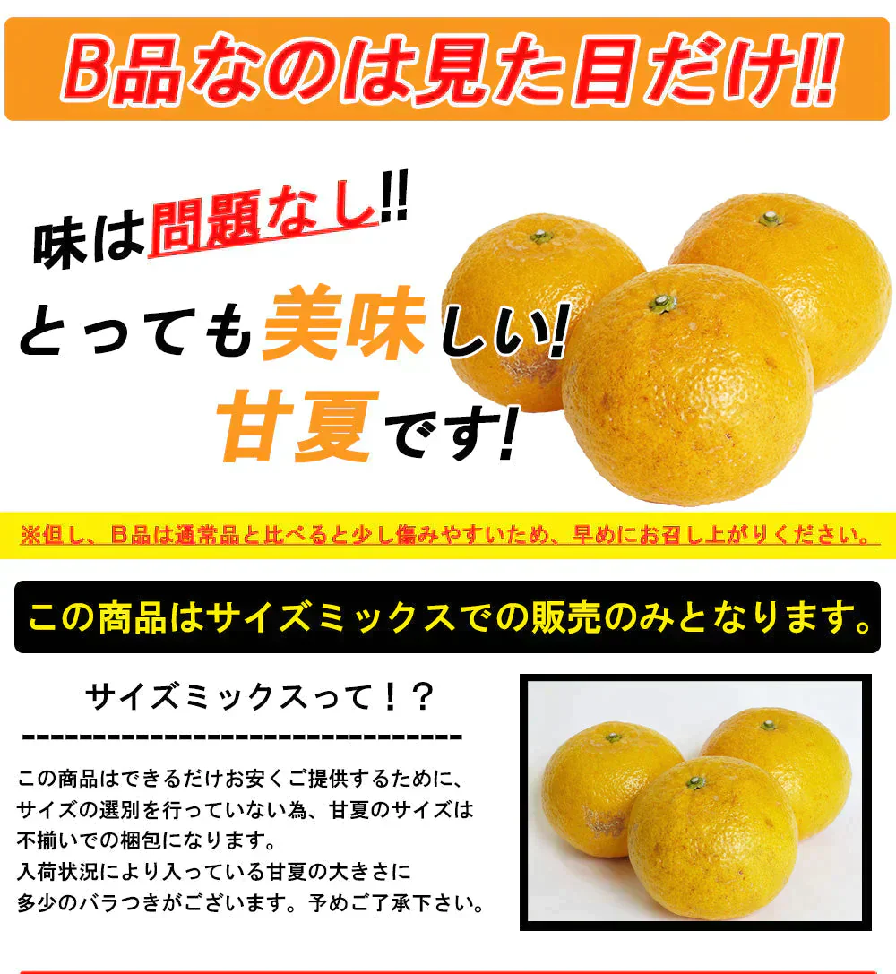 甘夏 訳あり 5kg みかん 蜜柑 ご家庭用 箱買い B品 サイズミックス あまなつ 柑橘 フルーツ 果物 産地直送 愛媛県産 YDF-014