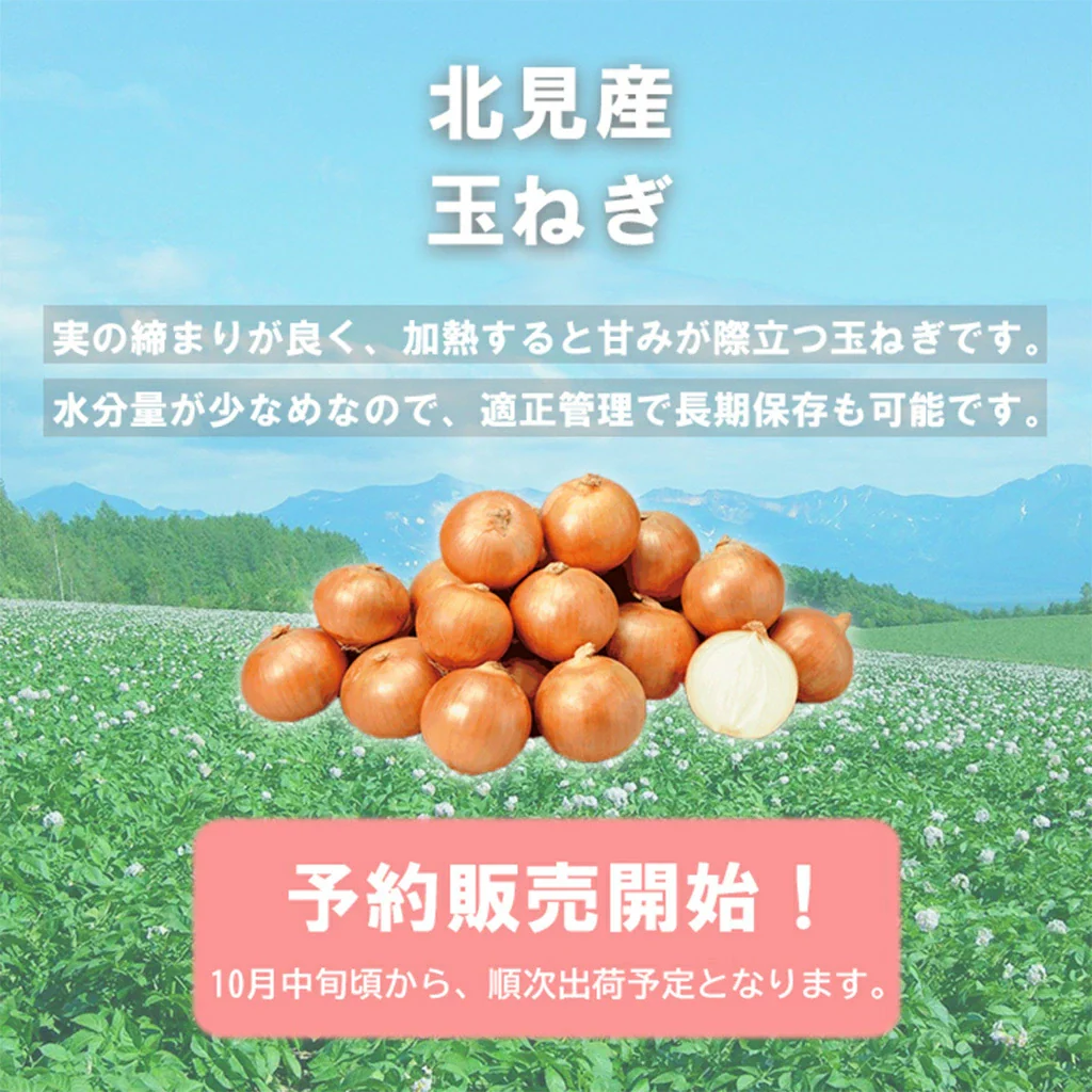 【終了】【10月中旬より順次出荷予定】北見産 玉ねぎ 5kg