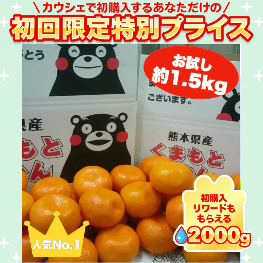 熊本産 みかん 訳あり 約1.5kg ご家庭用 60サイズ　送料無料【ご新規さん限定商品】