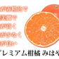 みはや みかん 送料無料 秀品 2kg 希少品種 美早 熊本県産 蜜柑 早生みかん ミカン