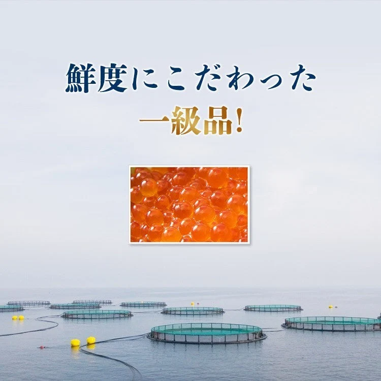 いくら 醤油漬け 250g×4パック 計1kg 粒は小さいけど味は抜群！ サーモン トラウト イクラ 丼 軍艦 手巻き寿司 ちらし寿司 送料無料 冷凍便 お取り寄せグルメ 食品 ギフト