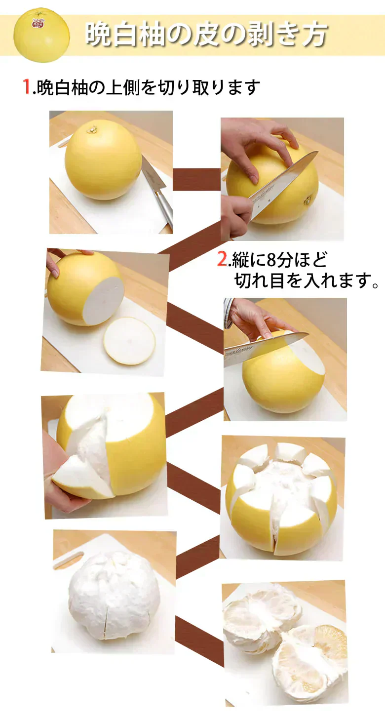晩白柚 みかん ばんぺいゆ 送料無料 特選 約3kg～4kg 2玉入 M〜2Lサイズ 世界最大級の柑橘 熊本県八代産 蜜柑 ミカン