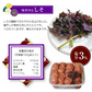 紀州南高梅つぶれ梅 しそ 塩分3％ 1.6kg(800g×2パック)