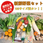 【2022年度 国内No.1獲得！】クール便でお届け！国産 野菜 詰め合わせ 100サイズ🙌【福袋】 みかん りんご シャインマスカット 桃 さつまいも じゃがいも 玉ねぎ 野菜 果物