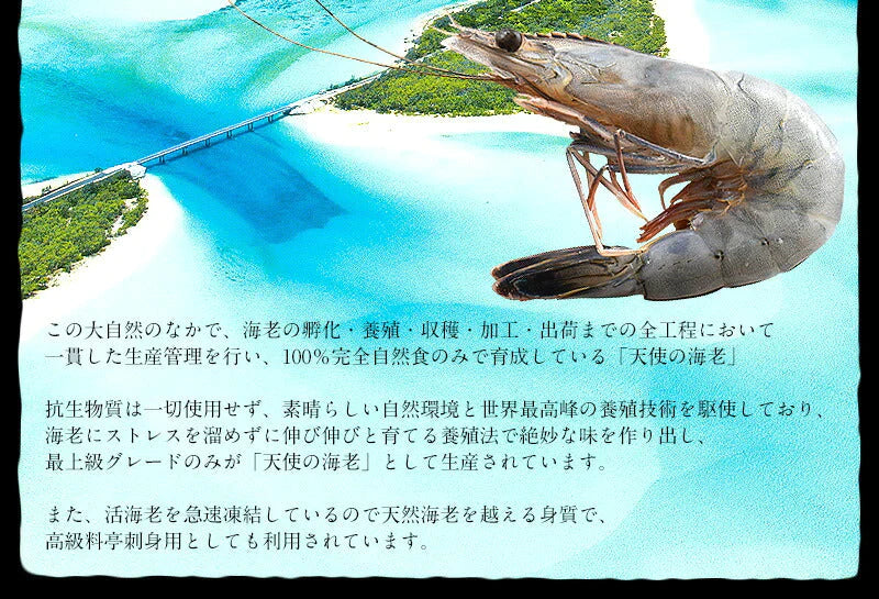 天使の海老 1kg （約20〜30尾入り） えび エビ 1キロ 冷凍エビ 冷凍海老 まとめ買い ニューカレドニア 冷凍えび 冷凍 海老 高級 海鮮 高級グルメ 高級食材 贈答品 贅沢 贈り物 グルメ ［送料無料］ 母の日 プレゼント ギフト  母の日思いの 健康 実用的 父の日 子供 孫