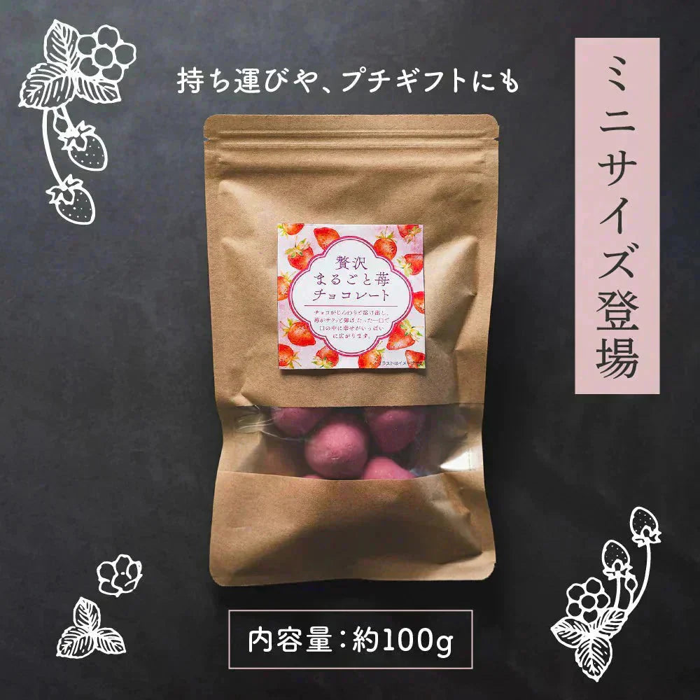 贅沢まるごと苺チョコレート 【1袋】100g チョコレート スイーツ いちごまるごと ホワイトチョコ イチゴ いちご ストロベリーチョコ いちごトリュフ フリーズドライ チョコ 友チョコ 自分チョコ