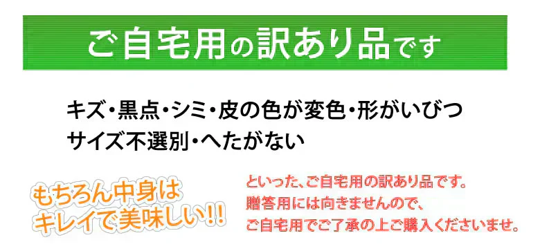 メロン 訳あり 送料無料 約4kg（2〜7玉）品種おまかせ 九州産 キンショウメロン・イエローキング・エリザベス・肥後グリーン・プリンス・レノン・タカミ・アムス・ クインシーメロン・リゾート・アンデスメロン・ホームランなど