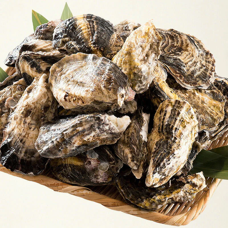 カキ 牡蠣 缶焼き かき 3kg（殻付き 約32〜42個） 冷凍牡蠣 セット まとめ買い カンカン焼き かんかん焼き 海鮮 美味しい 海鮮セット 食べ物 お取り寄せグルメ 冷凍 軍手 ナイフ付き［送料無料］ 母の日 プレゼント ギフト  母の日思いの 健康 実用的 父の日 子供 孫