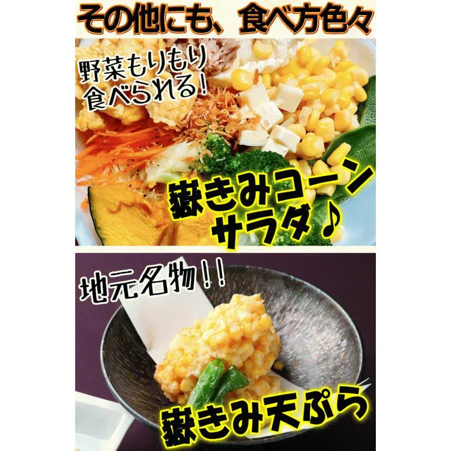 青森県産 嶽きみ 5本セット 真空フレッシュパック