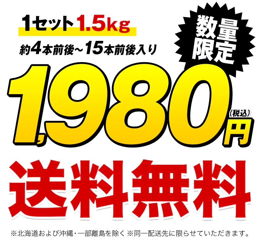 さつまいも 紅はるか べにはるか 1.5kg 送料無料 芋 熊本県産 スイーツ お取り寄せ 《7-14営業日以内に発送予定》