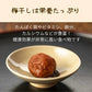 【種なし】梅干し 個包装 赤しそ入り 塩分補給 90g ／しそ梅ちゃん うめぼし 干し梅 梅菓子 お菓子 おやつ おかし 梅 梅干 持ち運び お茶うけ お茶 非常食 子供 大人 熱中症対策 種無し干し梅