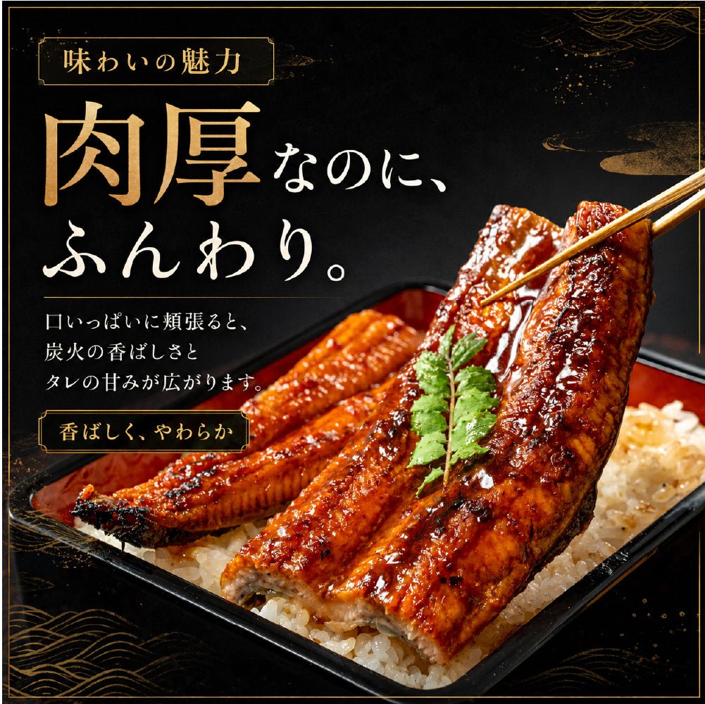 先着100名様限定！＼煮穴子200gプレゼント中／父の日 うなぎ 2尾 特大一本うなぎ蒲焼き 30cm×200g超 国産うなぎ 特大国産うなぎ 2尾 市場直送 母の日 中元 土用の丑の日 鰻 関西焼き 高評価 国産 特大 うなぎ蒲焼き 関西焼き 特大サイズ ウナギ 国産鰻 特大 蒲焼 夏ギフト