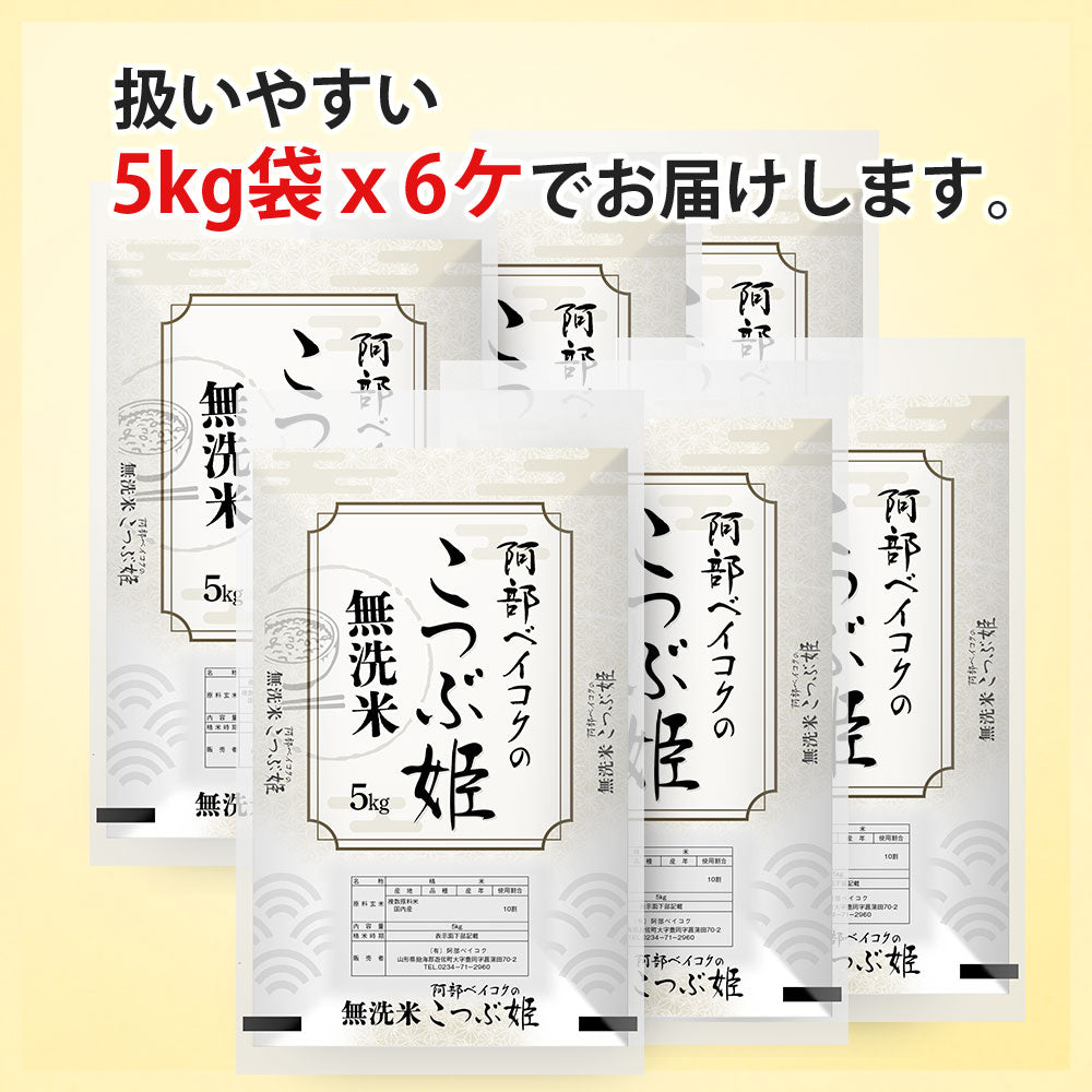無洗米 30kg (5kg×6袋) こつぶ姫 国内産 送料無料 無洗米30キロ こめ コメ お米 精米 新米 お米30kg お米30キロ