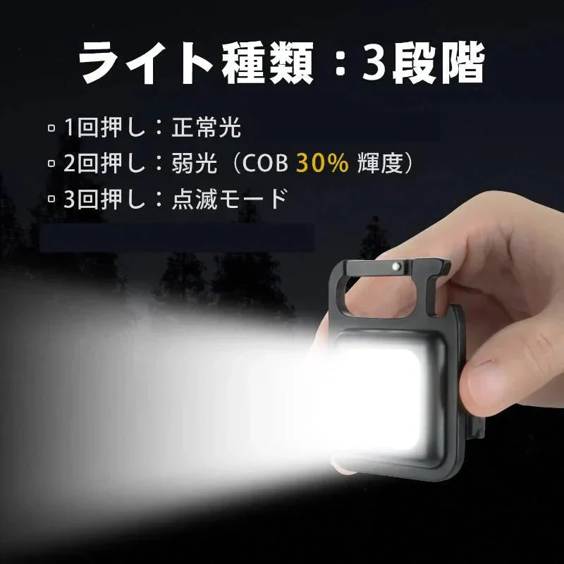 2個セット LED 投光器 COB 作業灯 USB充電式 キーホルダー式 超ミニ 小型 軽量 800ルーメン 高輝度 3種点灯モード IPX4防水 強力磁石 日本語説明書付き