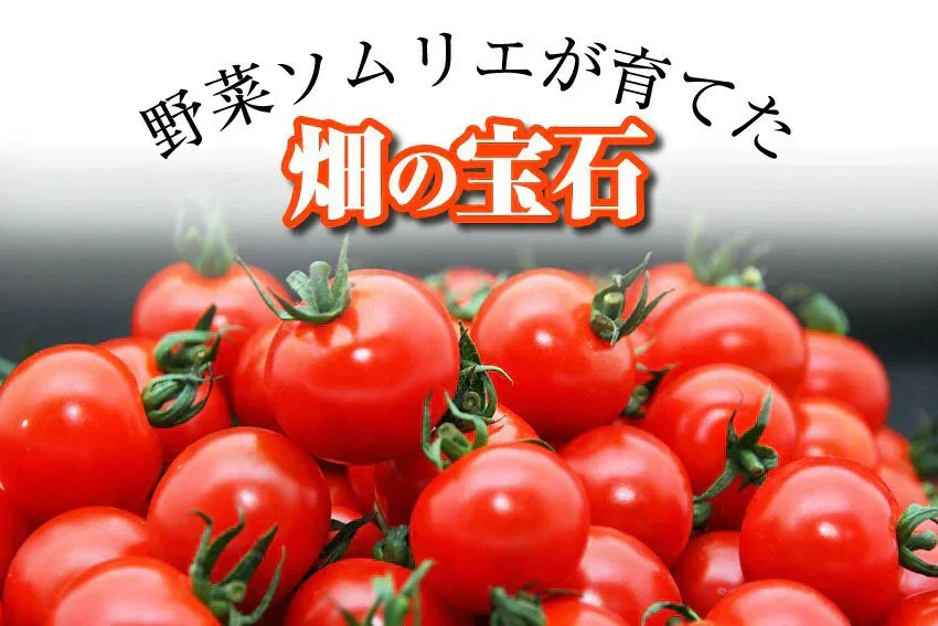 送料無料　ソムリエミニ トマト プラチナ100gとダイヤ100gの食べ比べセット