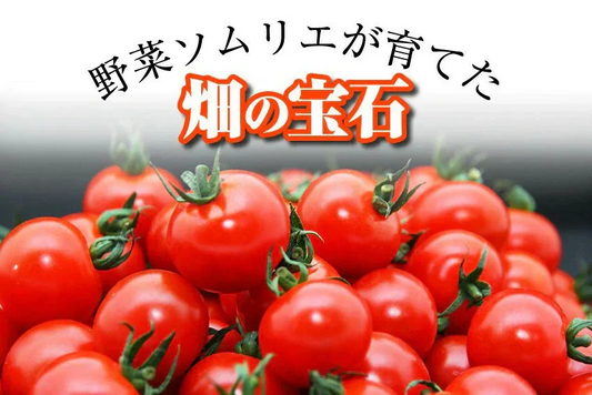 送料無料　ソムリエミニ トマト プラチナ100gとダイヤ100gの食べ比べセット