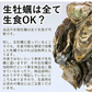 【生食OK】三陸産 殻付き 生牡蠣 3kg 今季初出し 希少 数量限定 新鮮 宮城 石巻 鉄分 ミネラル豊富 希少 貝 魚介類 かき 栄養 海の幸