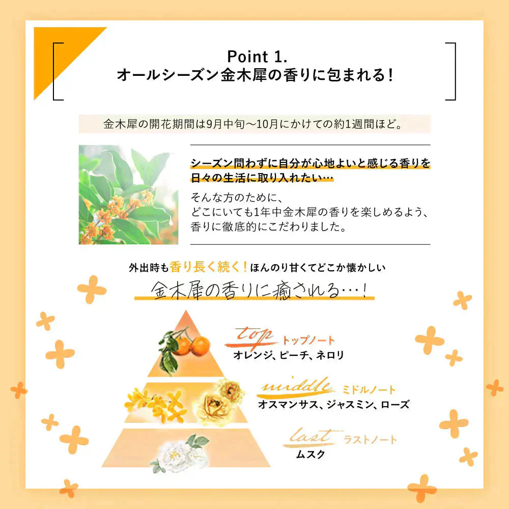 金木犀 ボディクリーム 300ml キンモクセイ きんもくせい ボディー クリーム ハンド マッサージクリーム マッサージ 乾燥 保湿 金木犀の香り 香り 香水 ボデイ Ms. Osmanthus ミスオスマンサス 大容量 プレゼント ギフト ハンドクリーム サクラナチュラル