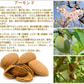 Mk nuts（エムケイナッツ） 素焼きアーモンド 600g 国内包装…