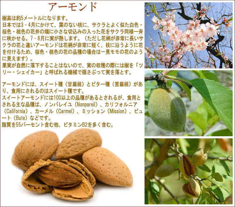 Mk nuts（エムケイナッツ） 素焼きアーモンド 600g 国内包装…
