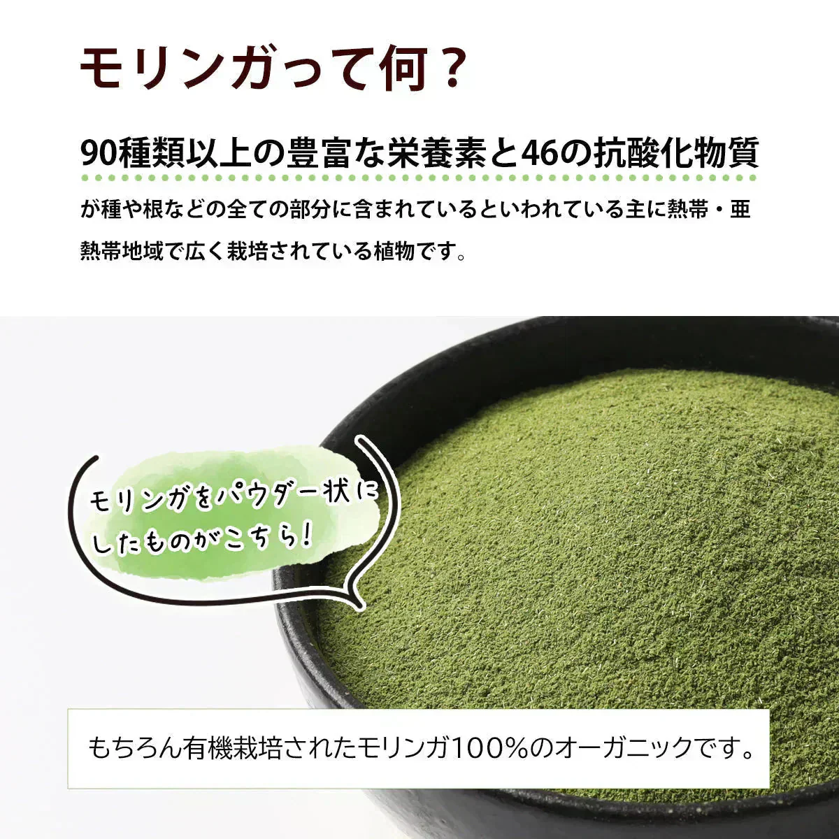 モリンガパウダー 有機 オーガニック 100g 100% モリンガ茶 スーパーフード 粉末 モリンガ パウダー 有機JAS認定 スリランカ セイロン 無添加 健康 栄養 ヴィーガン ビーガン 美容 サプリ 無農薬