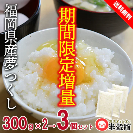 【今だけ増量】900g 研ぐお米 国内産単一原料米 300g×3個セット 小分け 2合パック×3 令和6年産 ゆうパケット発送 送料無料1105
