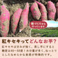 二代目おいもやの熟成干し芋100g×3袋【おいもや】