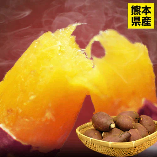 さつまいも 紅はるか べにはるか 1.5kg 送料無料 芋 熊本県産 スイーツ お取り寄せ 《7-14営業日以内に発送予定》