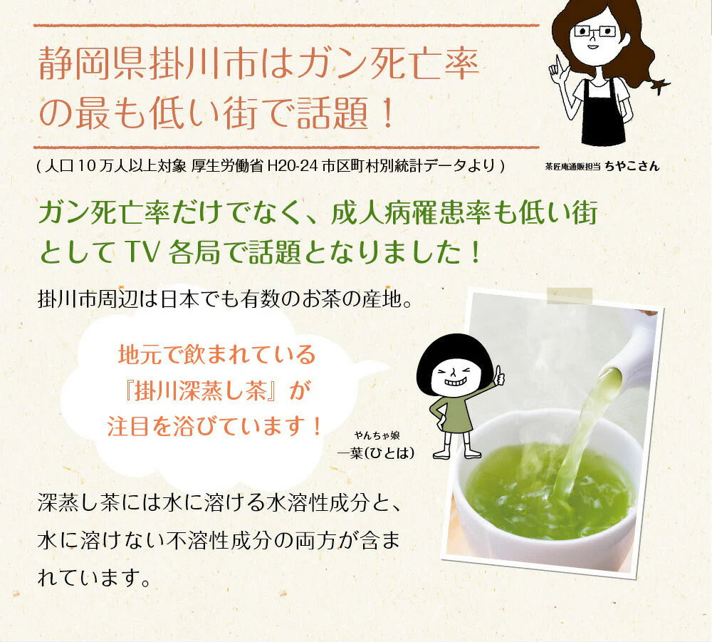 日本橋いなば園 静岡深蒸し茶 掛川茶 100g ネコポス メール便送料無料