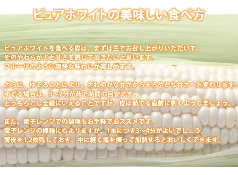とうもろこし ピュアホワイト 送料無料 約3kg 8～12本入り 九州産 白いとうもろこし 極甘フルーツコーン スイートコーン 雪の妖精
