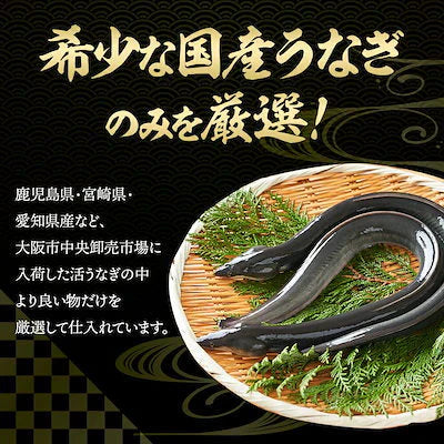 【国産】特大うなぎの蒲焼き 200g×2尾　うなぎ 鰻 丑の日