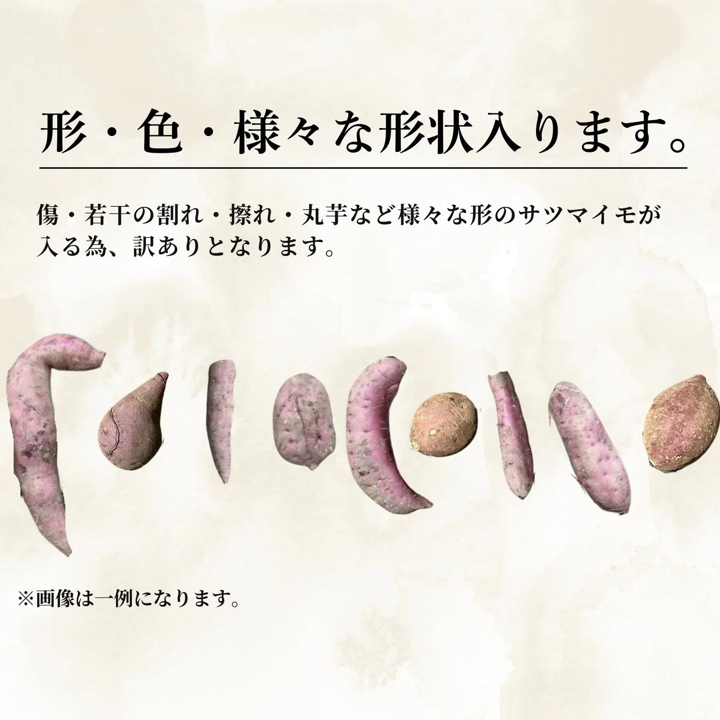 限定価格！焼き芋屋さんが送る 本場の鹿児島県産 紅はるか2kg