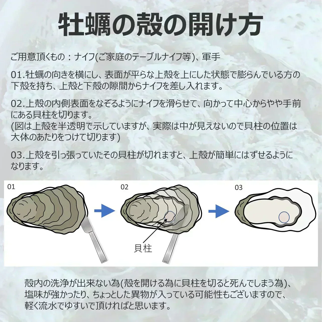 【生食OK】三陸産 殻付き 生牡蠣 3kg 今季初出し 希少 数量限定 新鮮 宮城 石巻 鉄分 ミネラル豊富 希少 貝 魚介類 かき 栄養 海の幸