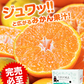 【熊本コレクション】熊本みかん 送料無料 訳あり みかん4kg 規格外 大玉 小玉 不選別 家庭用 柑橘 熊本県産 くまもと風土 《11月上旬-11月下旬頃より発送予定》