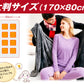 電気ブランケット(本体のみ)　1個