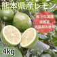 【9月下旬～10月上旬頃より順次出荷】レモン 国産レモン 送料無料 4kg 2S～L  熊本県産 減農薬 防腐剤ワックス不使用 れもん グリーンレモン 国産