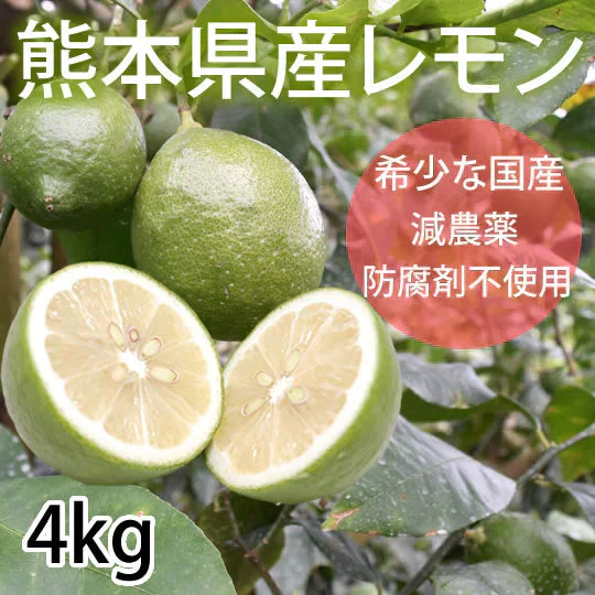 【9月下旬～10月上旬頃より順次出荷】レモン 国産レモン 送料無料 4kg 2S～L  熊本県産 減農薬 防腐剤ワックス不使用 れもん グリーンレモン 国産