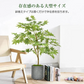 フェイクグリーン 「モミジレッド」 観葉植物 大型 人工観葉植物 リアル フェイク グリーン インテリア 飾り用 撮影用 部屋飾り 造花 お祝い プレゼント おしゃれ