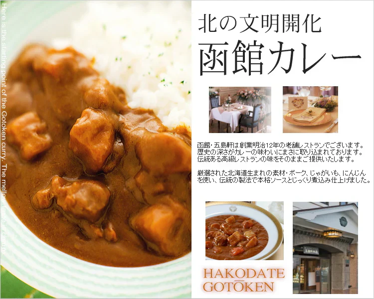【北海道限定】五島軒 函館カレー 中辛ポークカレー【1人前×2箱】函館 有名店 新千歳空港 お土産