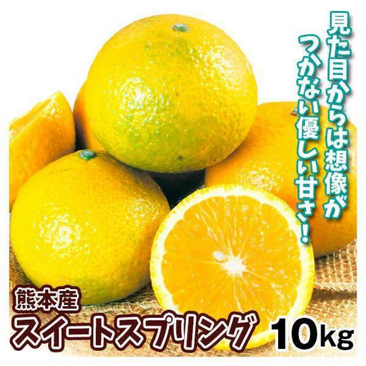 スイートスプリング　熊本産　みかん　10kg　ご家庭用