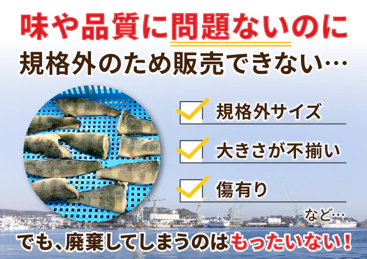 縞ホッケ  約2kg(約1kg×2パック)